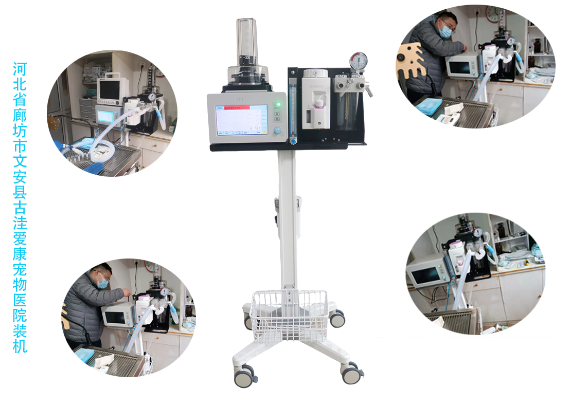 河北省廊坊市文安县古洼爱康宠物医院装机