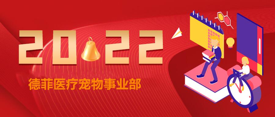 再见2021;您好,2022.德菲和您一起向未来