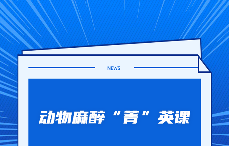 第三届德菲小动物麻醉高质量发展技术交流会-石家庄站即将拉开帷幕，欢迎报名！