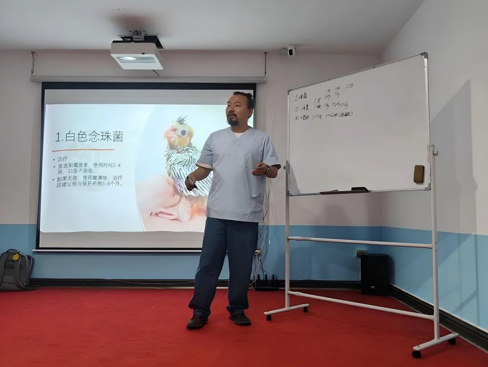 德菲医疗助力皖千兽医读书会，共探鸟类诊疗新高度！