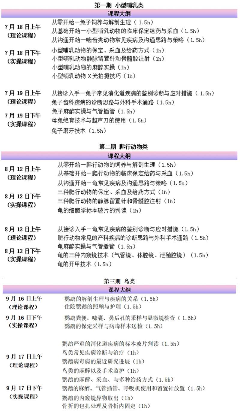 未标题-3.jpg