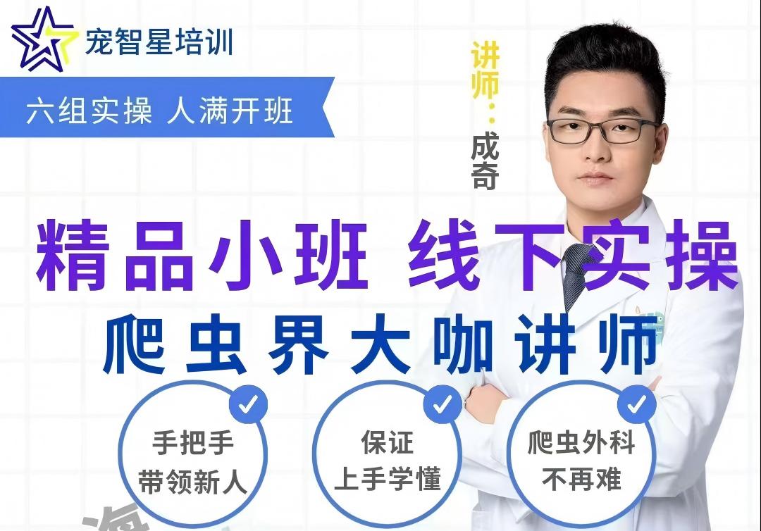 德菲医疗异宠呼吸麻醉机助力宠智星培训圆满成功