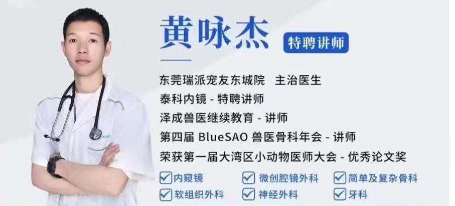 德菲医疗呼吸麻醉工作站，为兽医内窥镜精进之路保驾护航