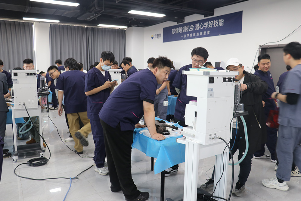 精准麻醉，安全护航！德菲医疗麻醉工作站助力宠壹堂麻醉实操班顺利开讲