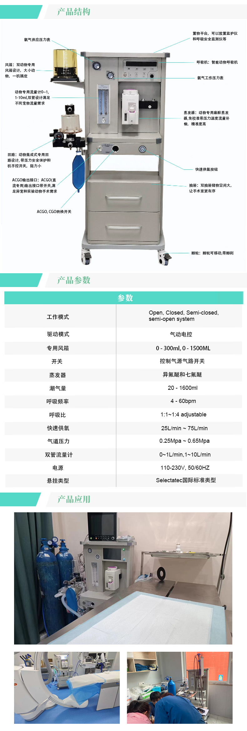 produce-2（中）.jpg