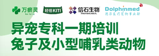 德菲医疗异宠呼吸机，为“异宠专科一期培训（兔子及小型哺乳动物）”保驾护航！