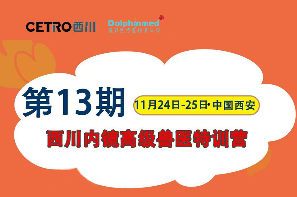 德菲医疗动物呼吸麻醉工作站即将助力西川内镜高级兽医特训营